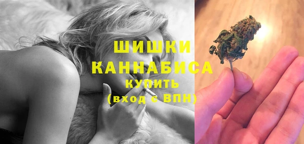гашик Белокуриха
