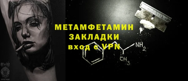 ГАЛЛЮЦИНОГЕННЫЕ ГРИБЫ Богданович