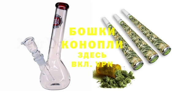гашик Белокуриха