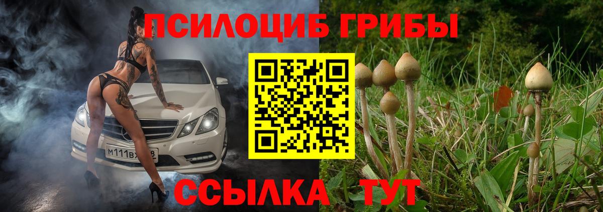 Галлюциногенные грибы MAGIC MUSHROOMS Видное