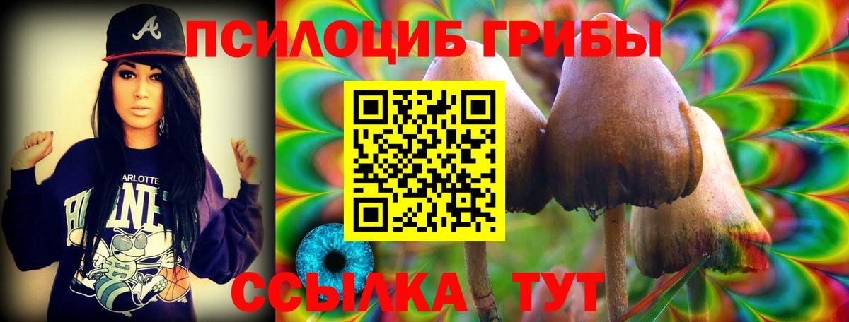 Видное  Псилоцибиновые грибы мицелий  что такое наркотик  Вход с VPN 