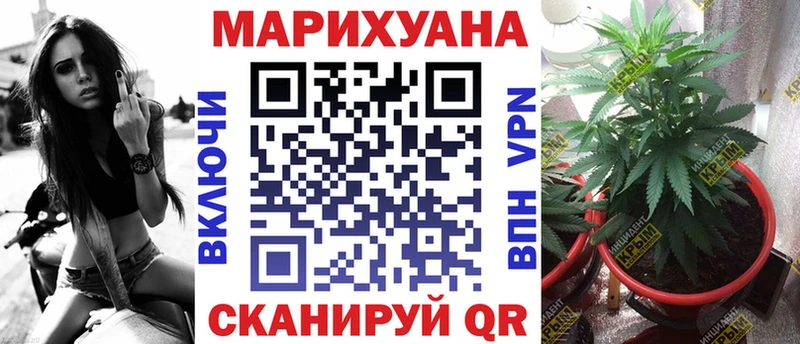 ссылка на мегу маркетплейс Видное Канабис SATIVA & INDICA